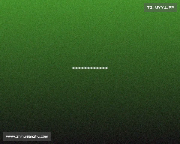 足球俱乐部转会计划全面解析引援策略与阵容调整方向